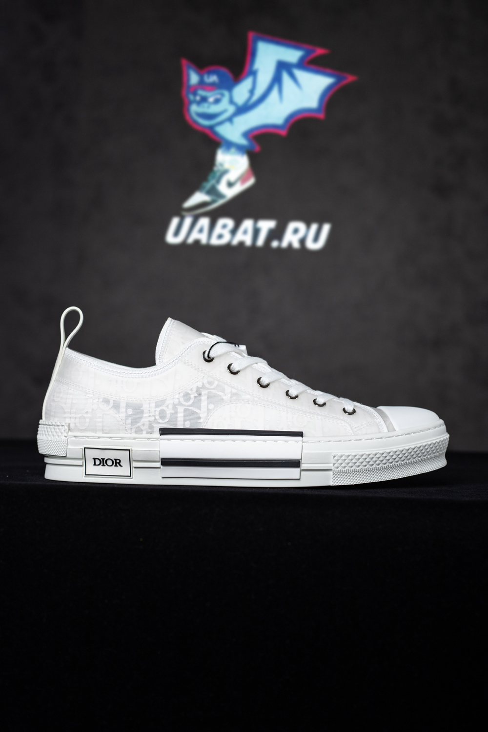 Dior B23 Low 