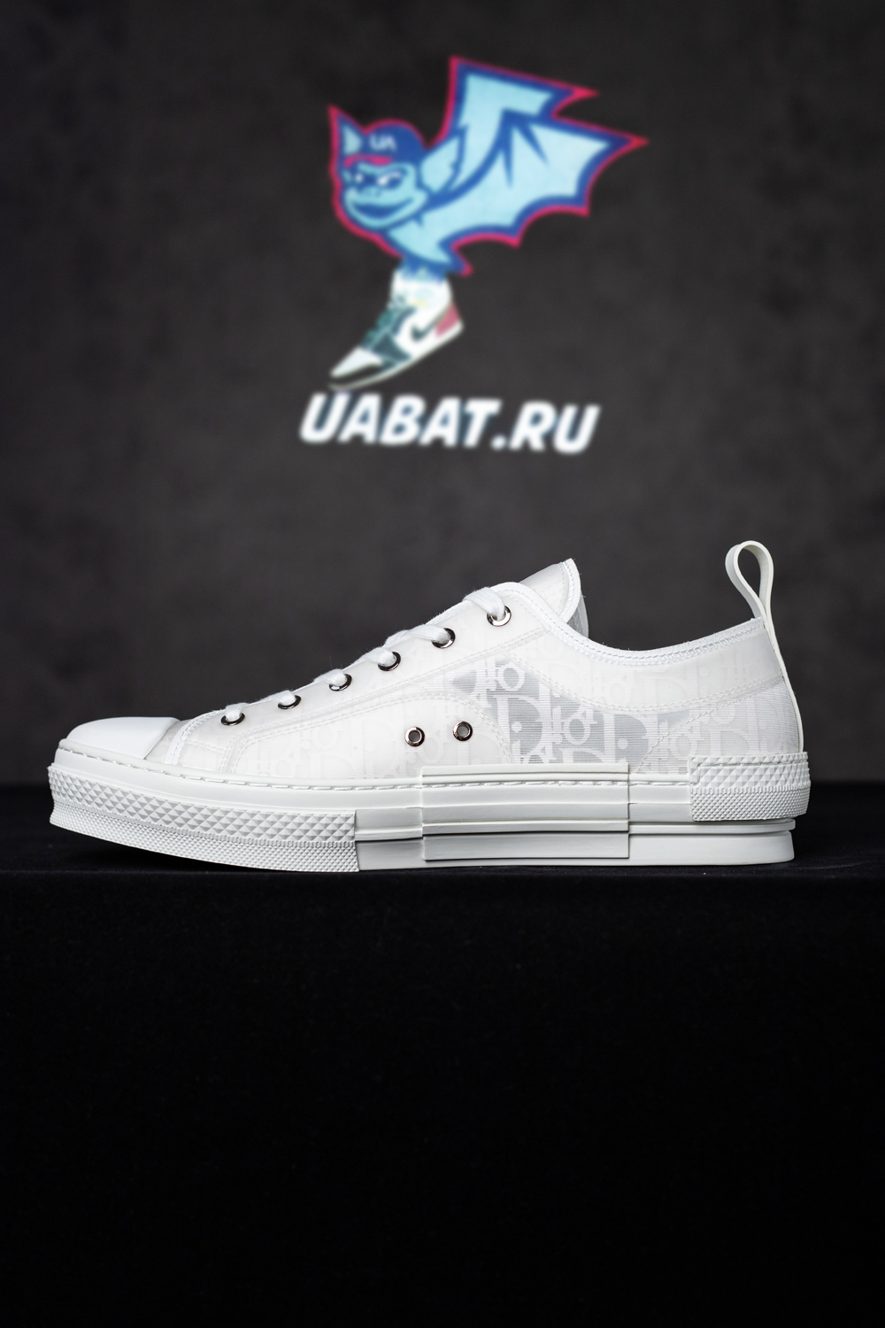 Dior B23 Low 