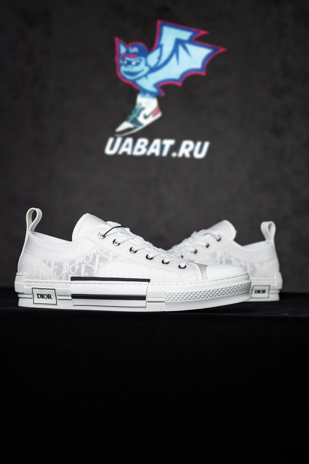 Dior B23 Low 