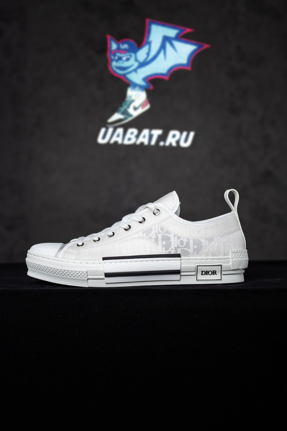 Dior B23 Low 