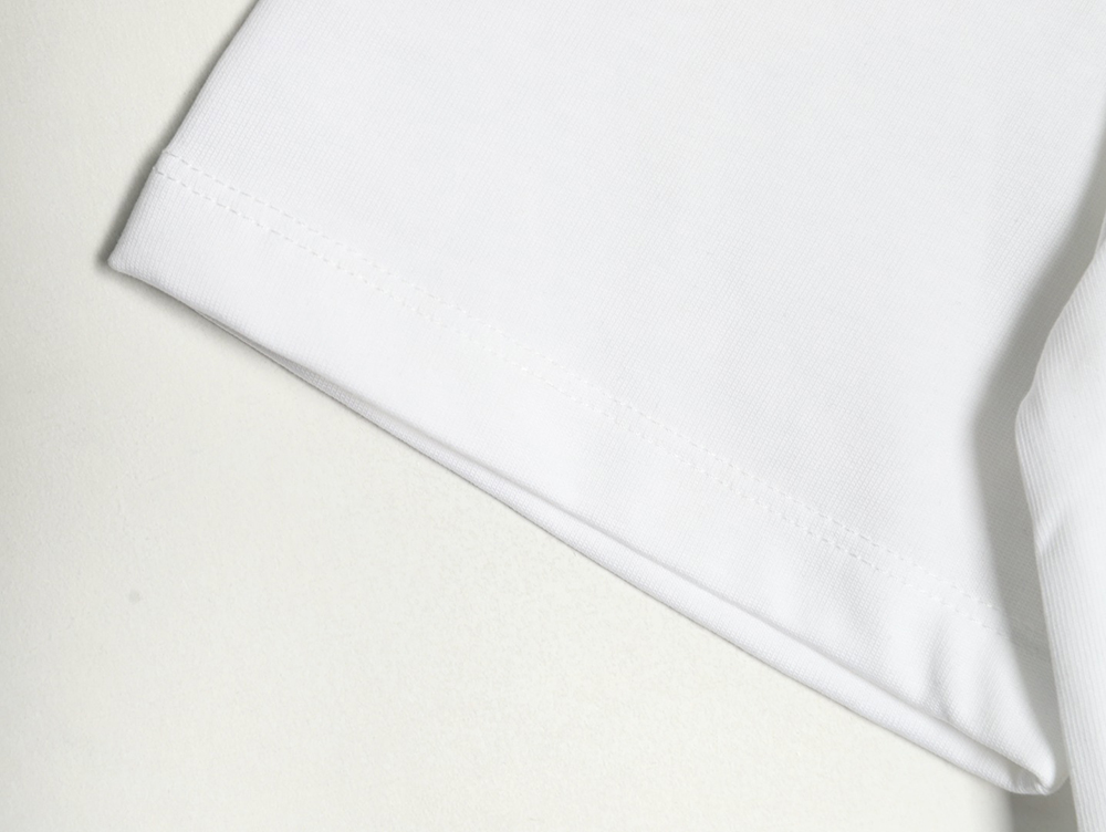 Dior & Stone island co-branded embroidered logo short-sleeved T-shirt