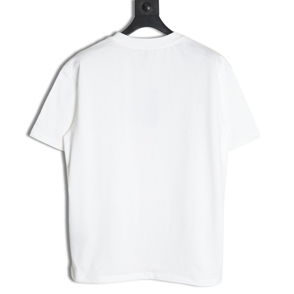 Dior & Stone island co-branded embroidered logo short-sleeved T-shirt
