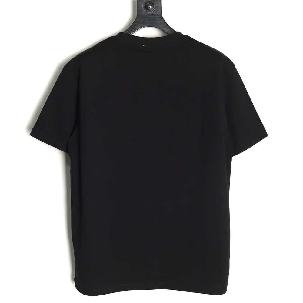 Dior & Stone island co-branded embroidered logo short-sleeved T-shirt TSK1