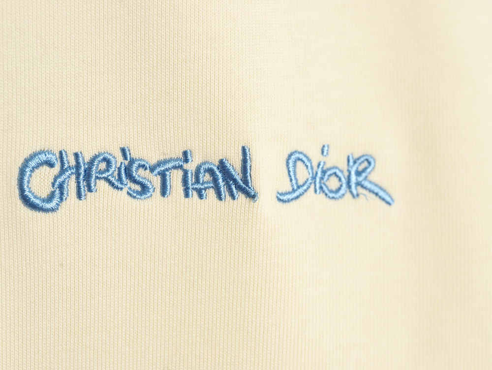 Dior cursive embroidered letters short-sleeved T-shirt TSK1