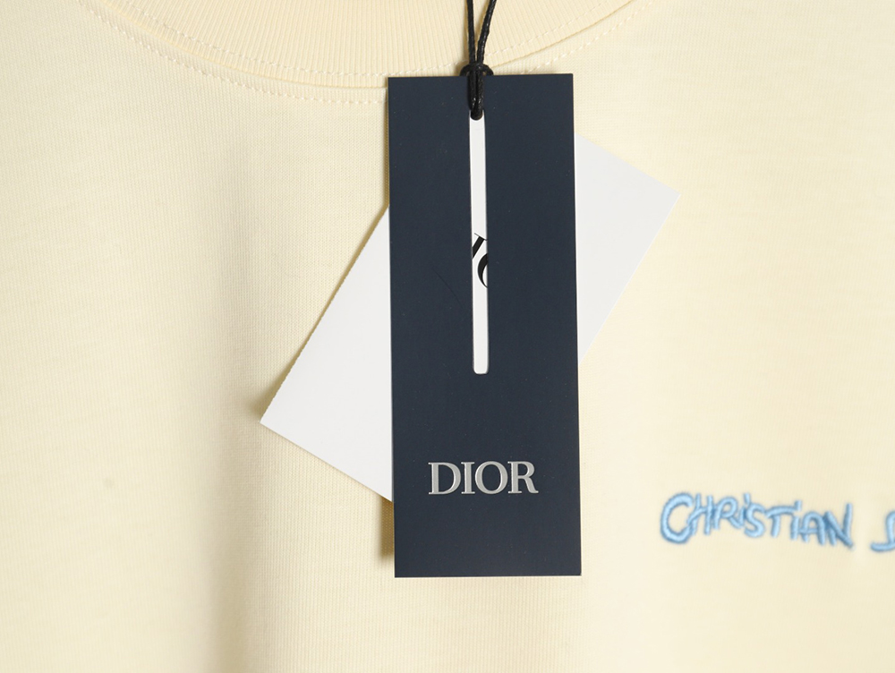 Dior cursive embroidered letters short-sleeved T-shirt TSK1
