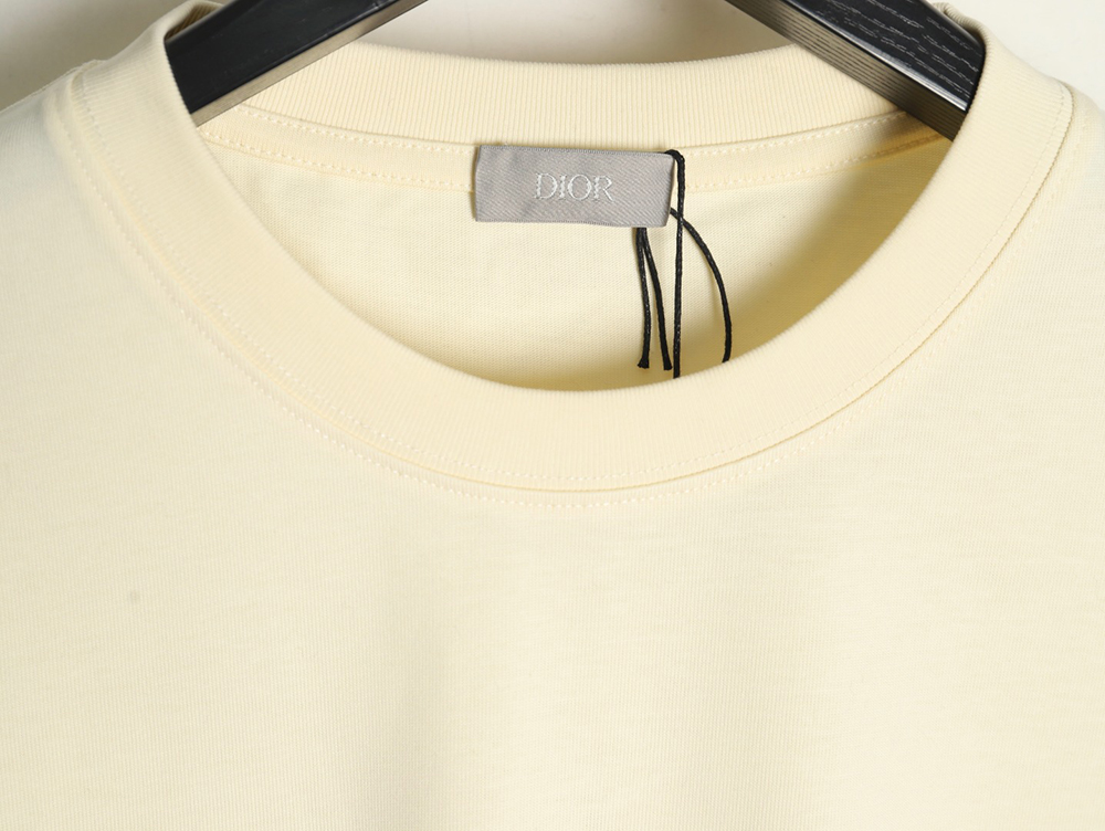 Dior cursive embroidered letters short-sleeved T-shirt TSK1