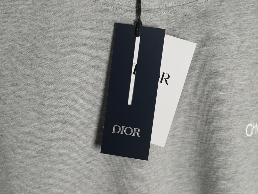 Dior cursive embroidered letters short-sleeved T-shirt TSK2