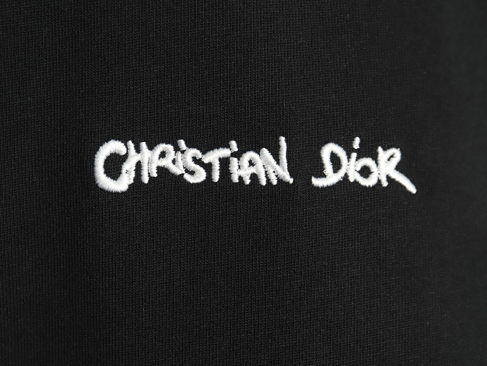 Dior cursive embroidered letters short-sleeved T-shirt TSK4