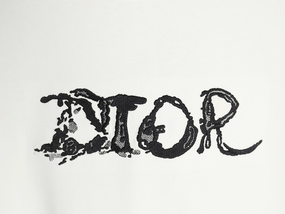 Dior lettering embroidered short sleeve T-shirt