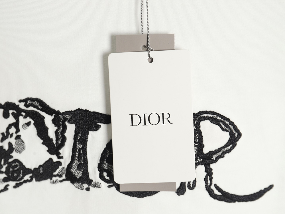 Dior lettering embroidered short sleeve T-shirt