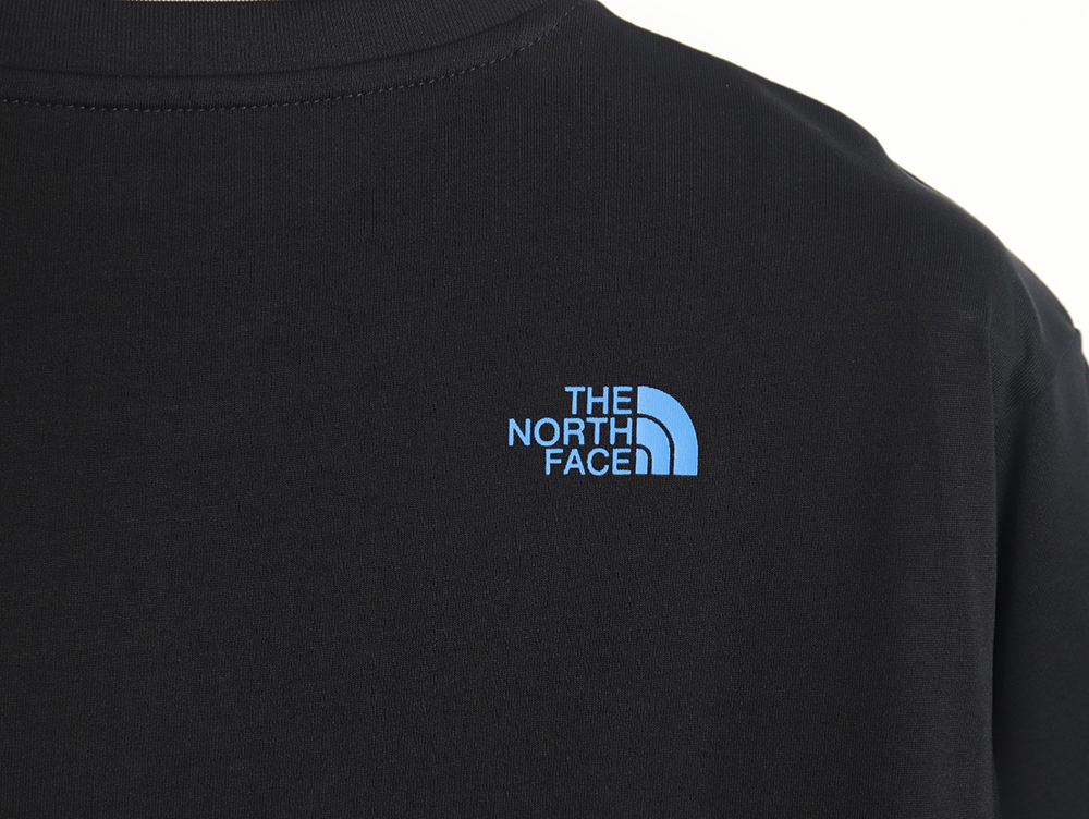 The North face LOGO print short sleeve T-shirt TSK1
