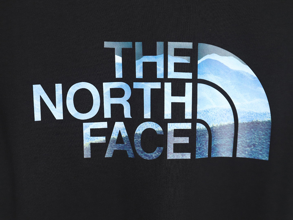 The North face LOGO print short sleeve T-shirt TSK1