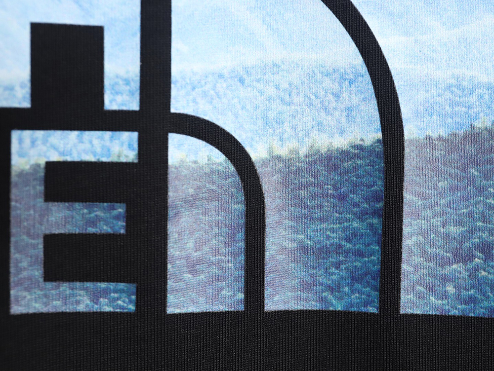 The North face LOGO print short sleeve T-shirt TSK1