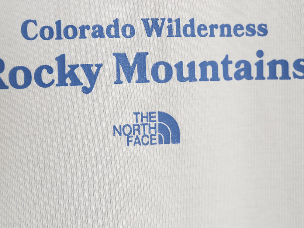 The North face snow mountain forest print short-sleeved T-shirt