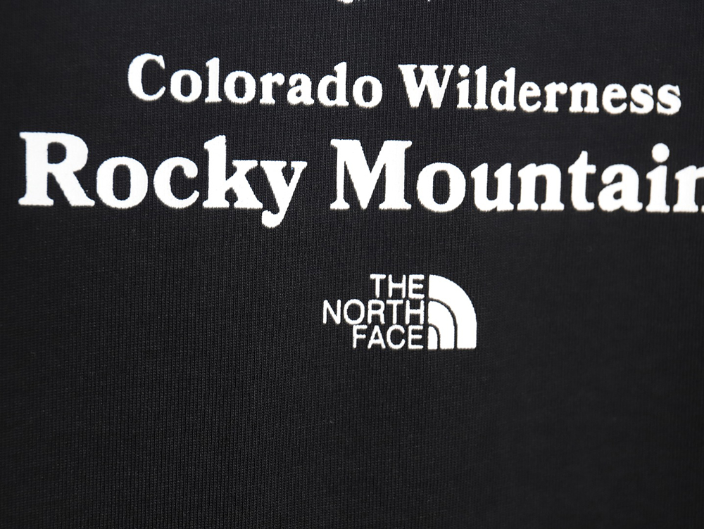 The North face snow mountain forest print short-sleeved T-shirt TSK1