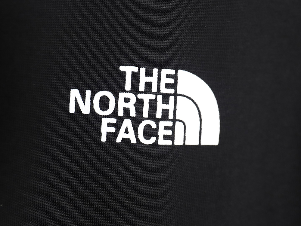 The North face classic small logo print short-sleeved T-shirt TSK1