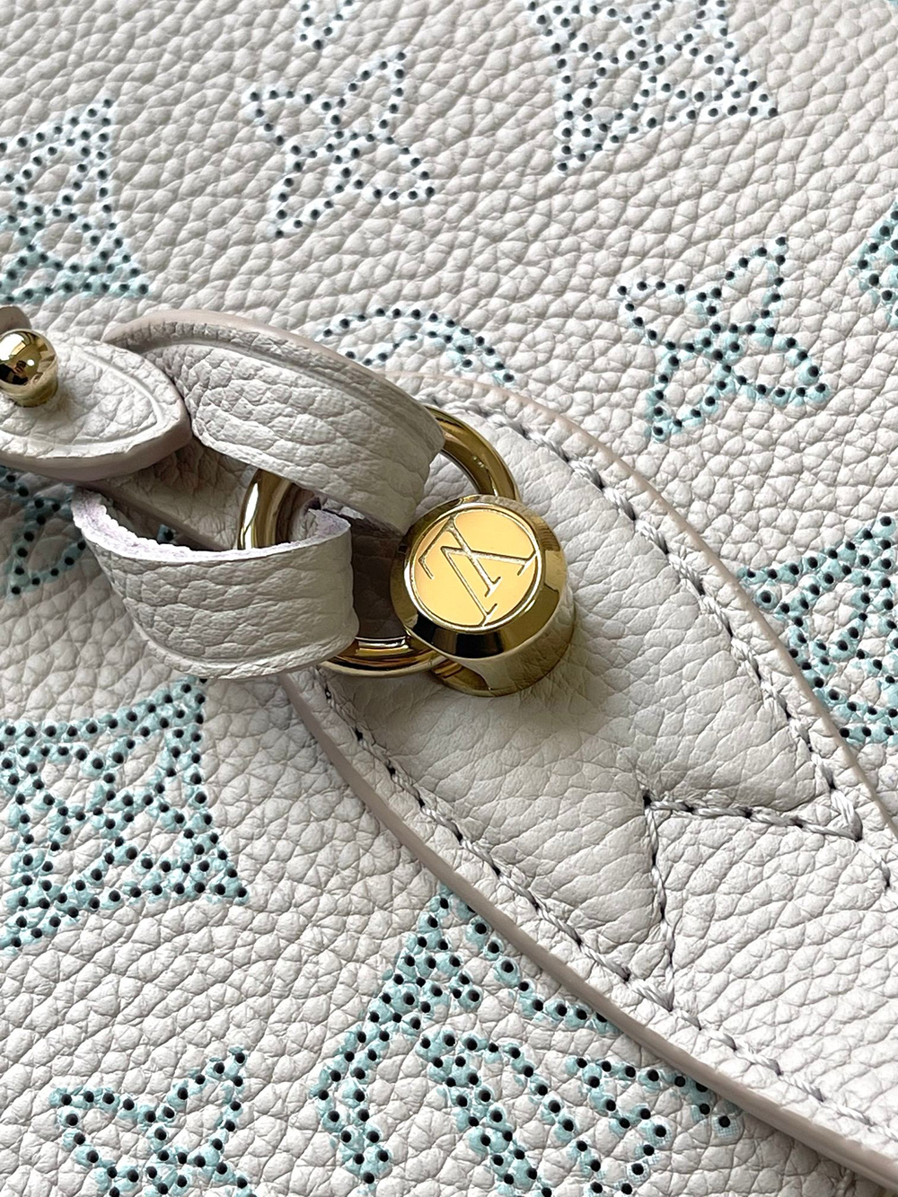 Louis Vuitton Blossom PM Bags M12088 22*14*16cm