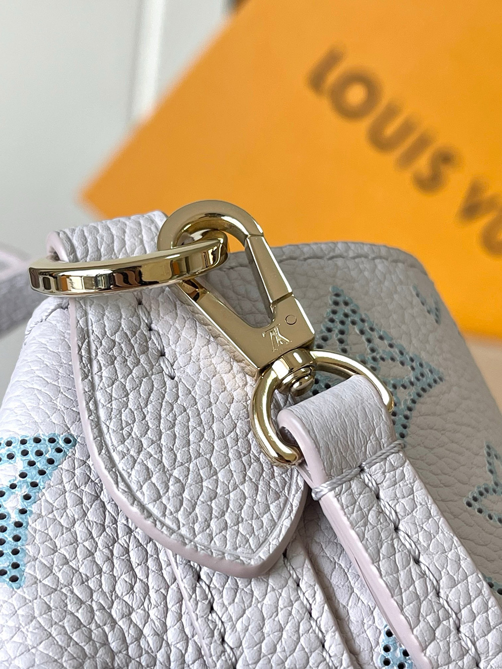 Louis Vuitton Blossom PM Bags M12088 22*14*16cm