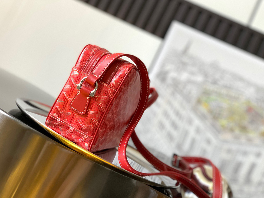 Goyard Cap-Vert Bags 801320 22.8*12.7*7.6cm