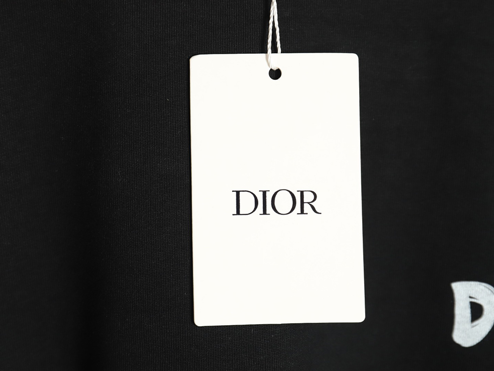Dior Dragon Printed Letter Short Sleeve T-Shirt TSK1
