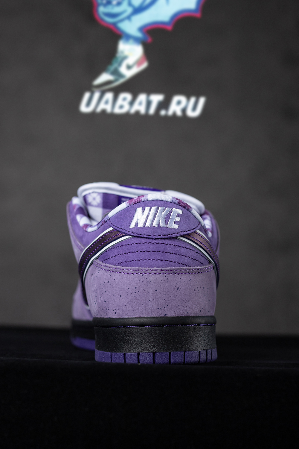 CONCEPTS X DUNK LOW SB