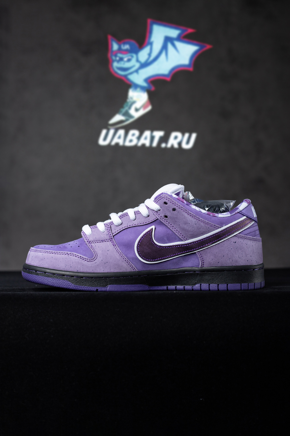 CONCEPTS X DUNK LOW SB
