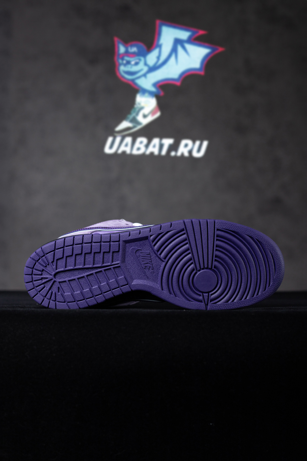CONCEPTS X DUNK LOW SB