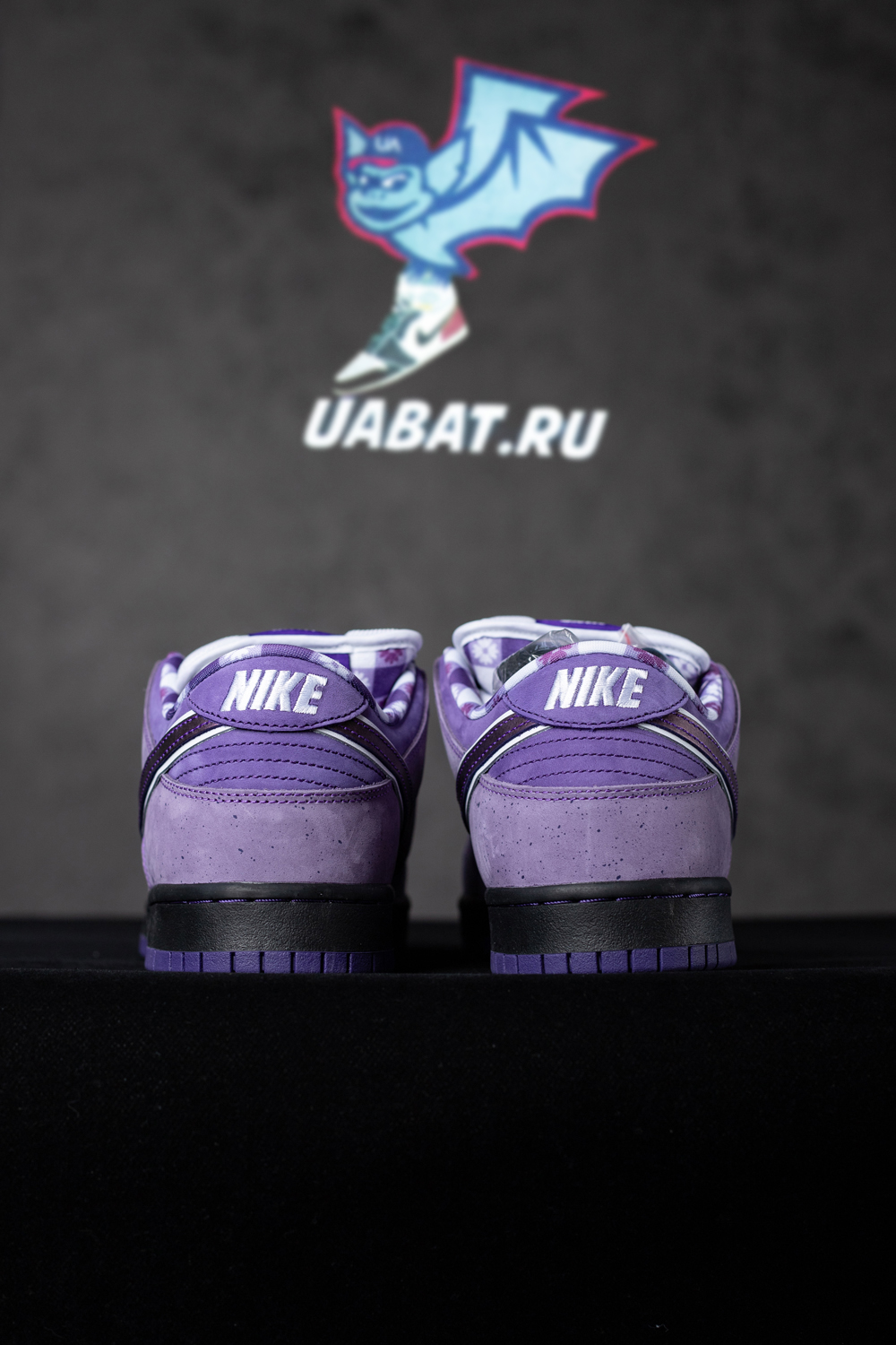 CONCEPTS X DUNK LOW SB