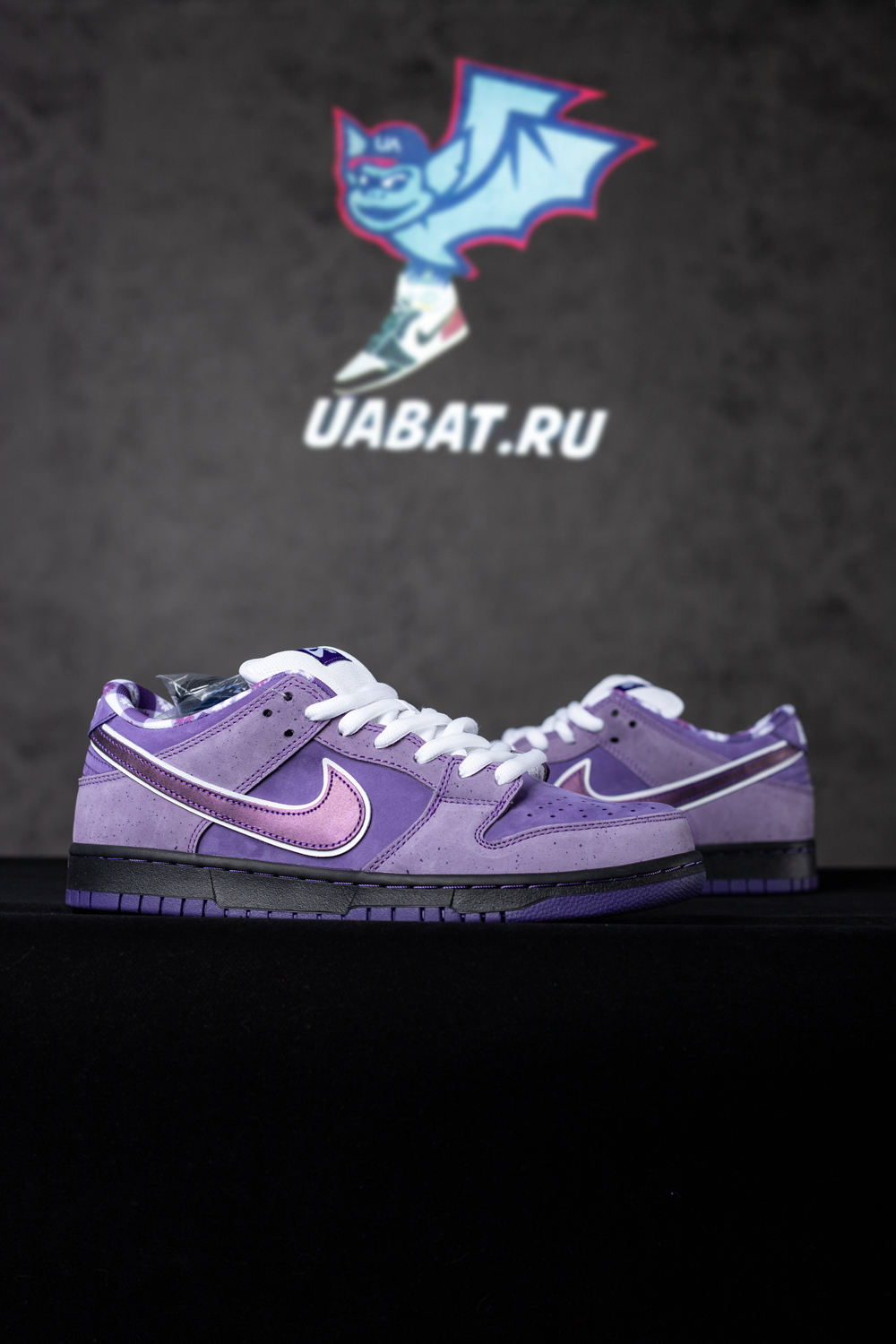 CONCEPTS X DUNK LOW SB