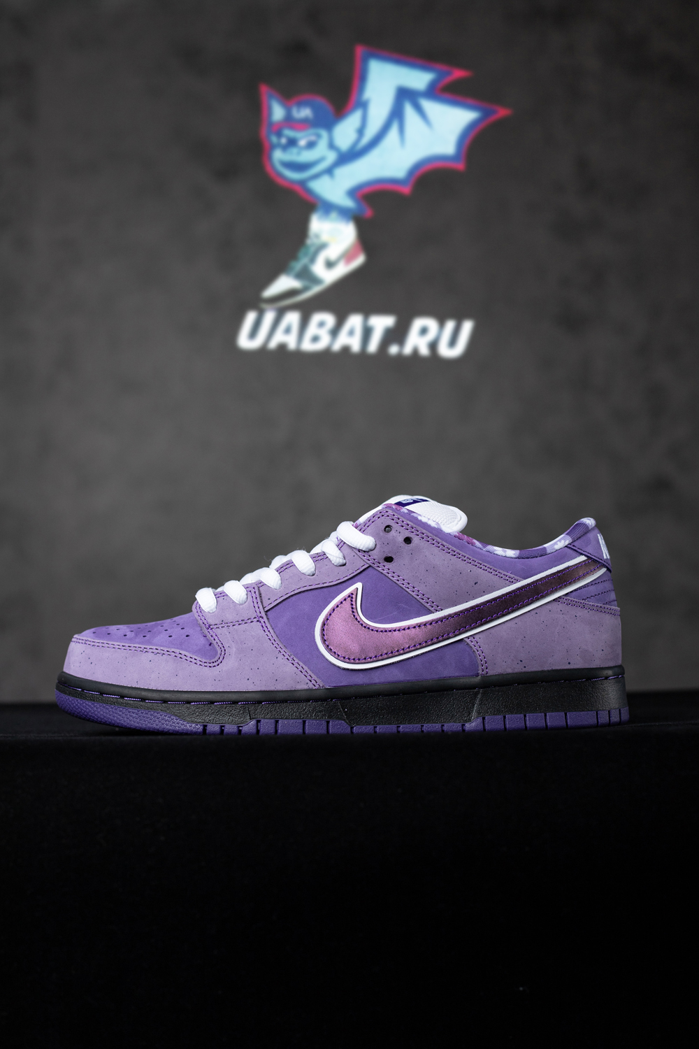 CONCEPTS X DUNK LOW SB