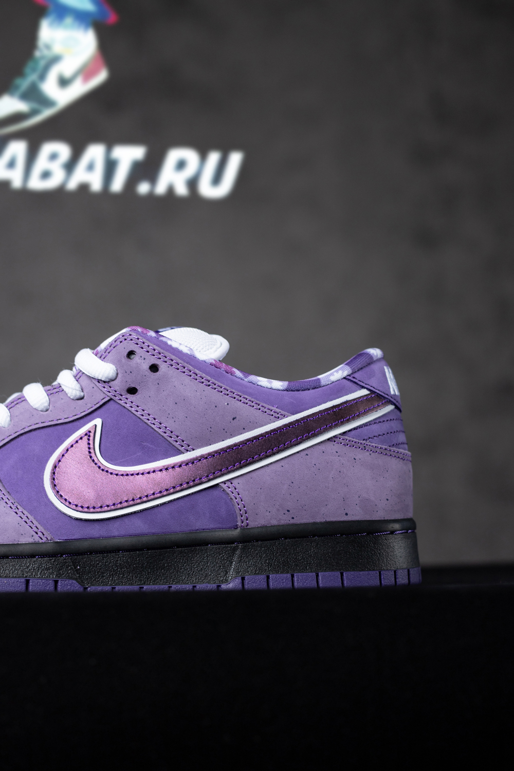 CONCEPTS X DUNK LOW SB