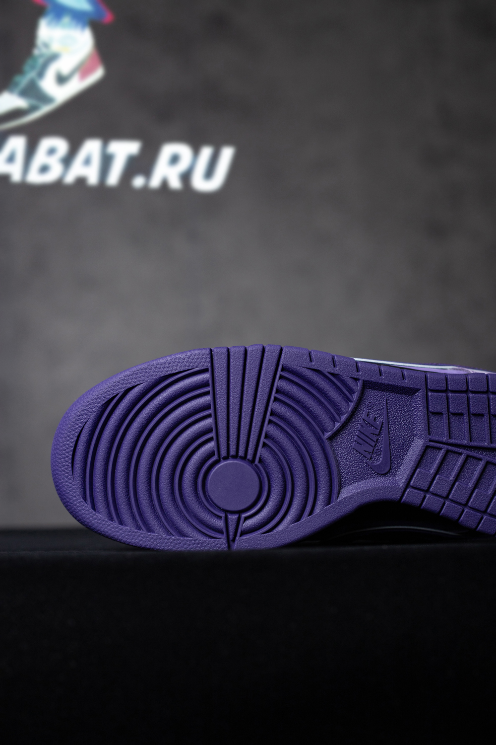 CONCEPTS X DUNK LOW SB