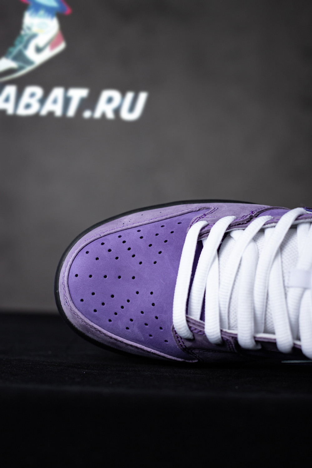 CONCEPTS X DUNK LOW SB