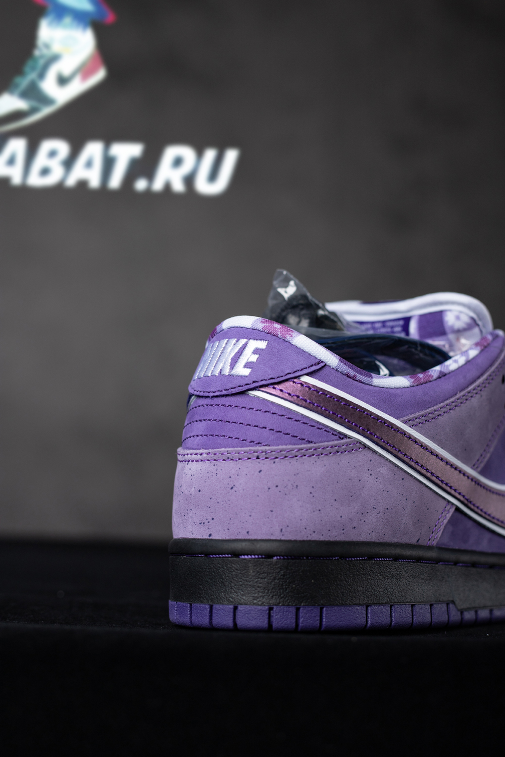 CONCEPTS X DUNK LOW SB