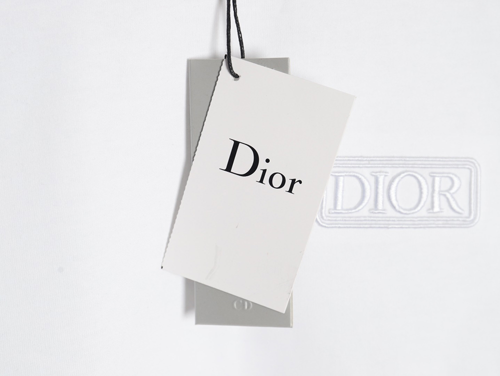 Dior chest embroidered lettering short sleeve T-shirt
