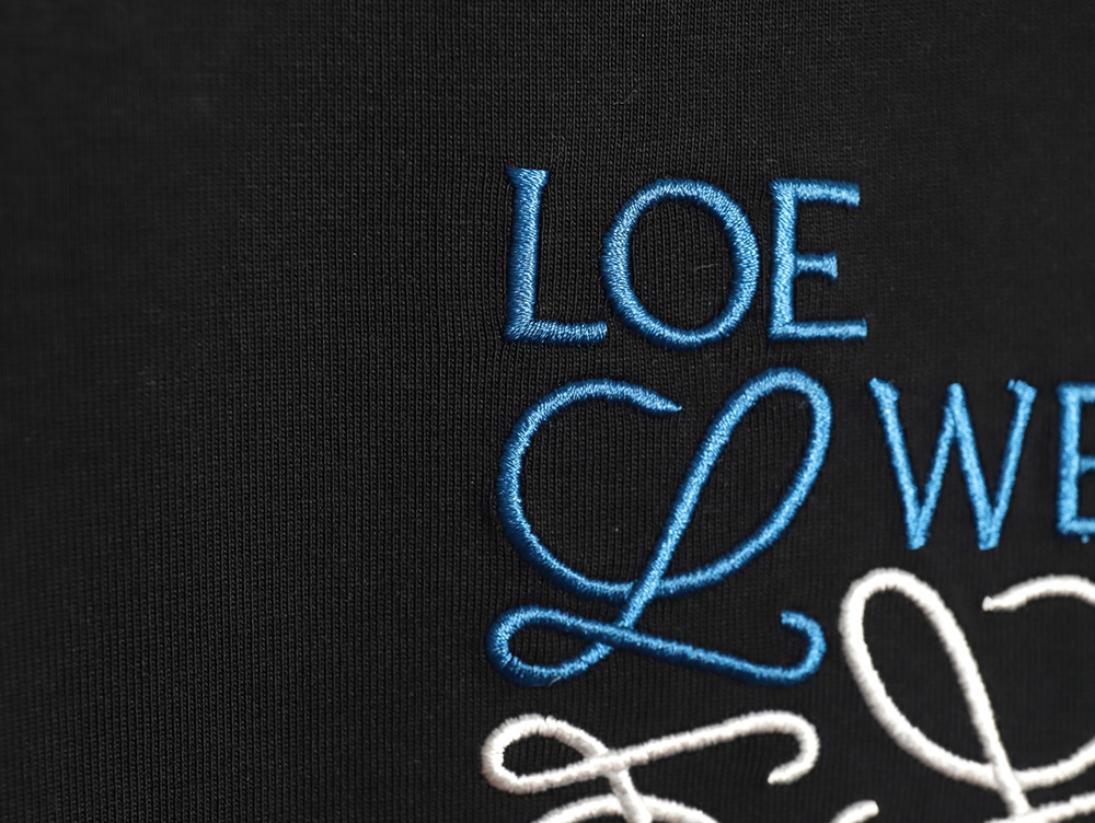 Loewe misplaced logo embroidery T-shirt TSK1