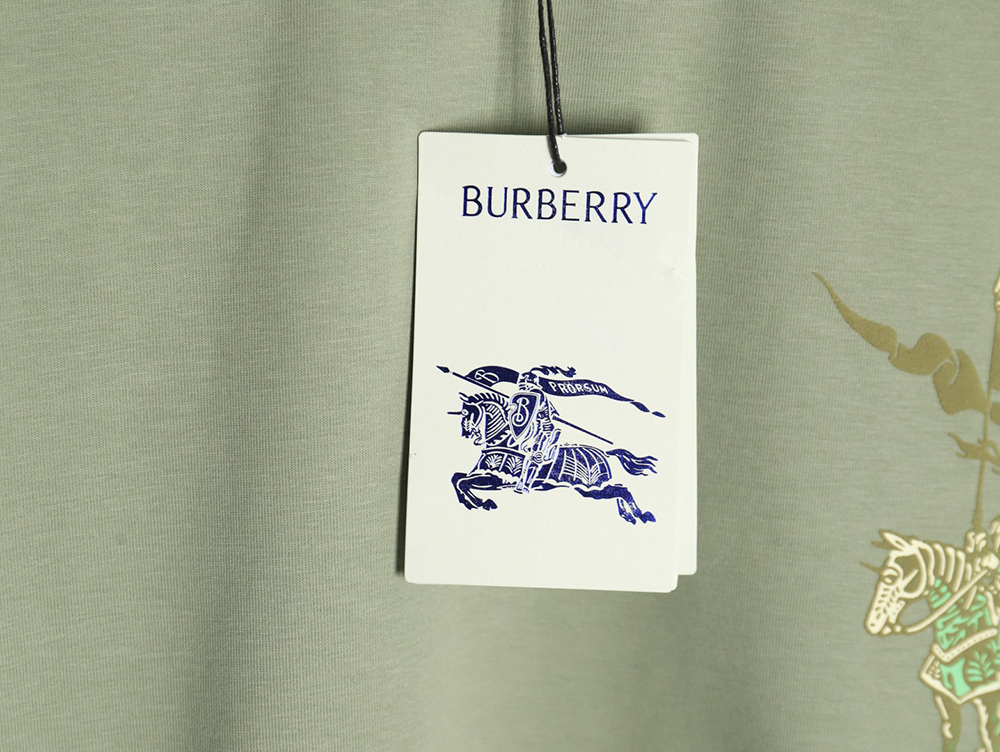 Burberry Warhorse Logo Colorblock Foam Print Short Sleeve T-Shirt TSK1