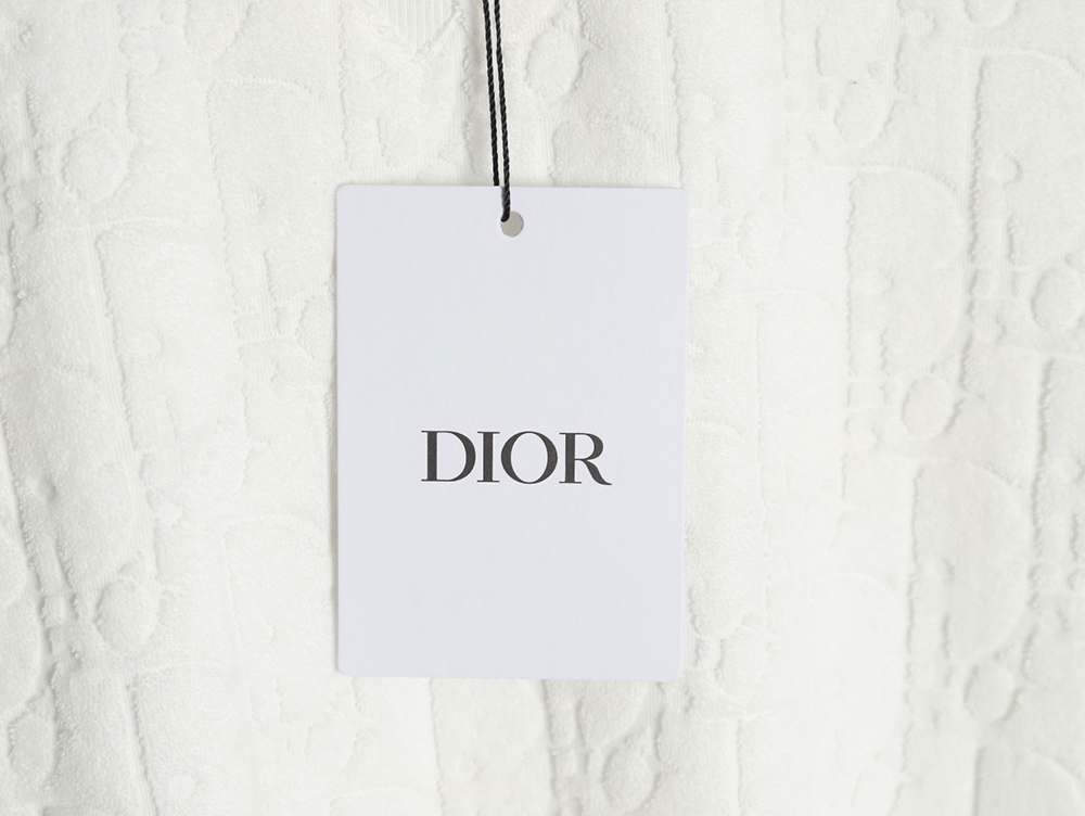 Dior classic jacquard full-print lettering short-sleeved T-shirt