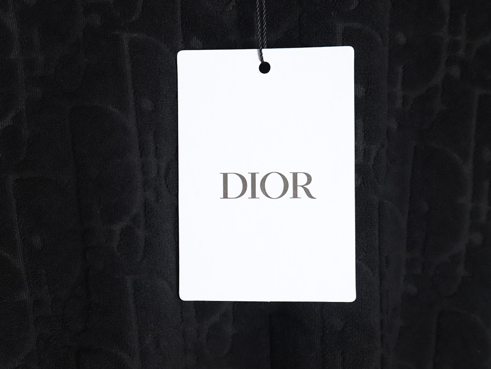 Dior classic jacquard full-print lettering short-sleeved T-shirt TSK1