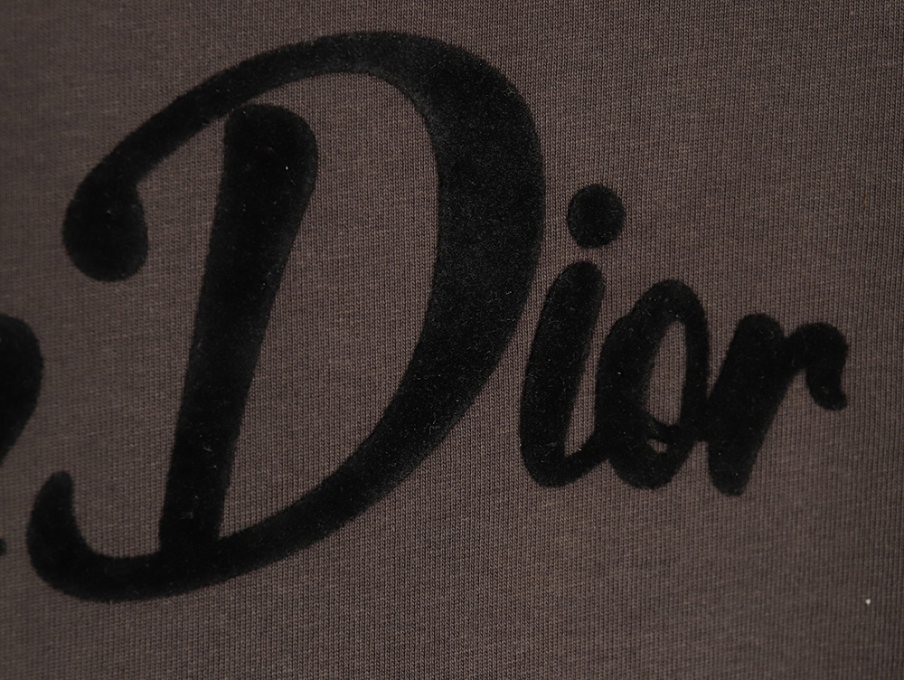 Dior logo pattern embroidered flocked letter T-shirt