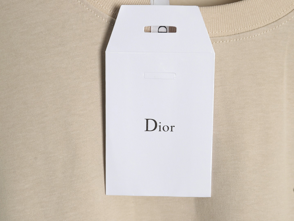 Dior Letter Patch Embroidered Short Sleeve T-Shirt TSK1