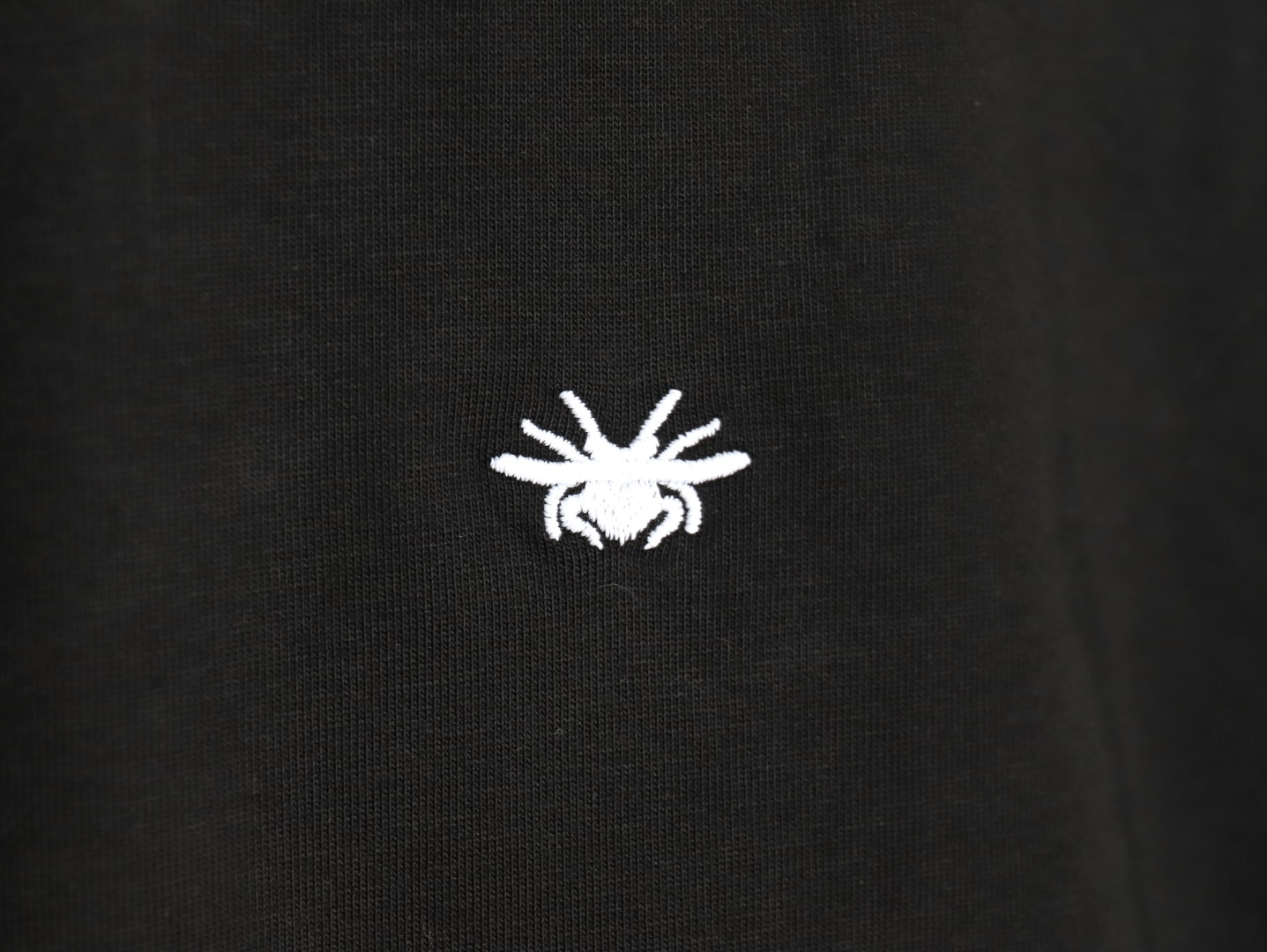 Dior bee embroidered logo short sleeve T-shirt TSK1