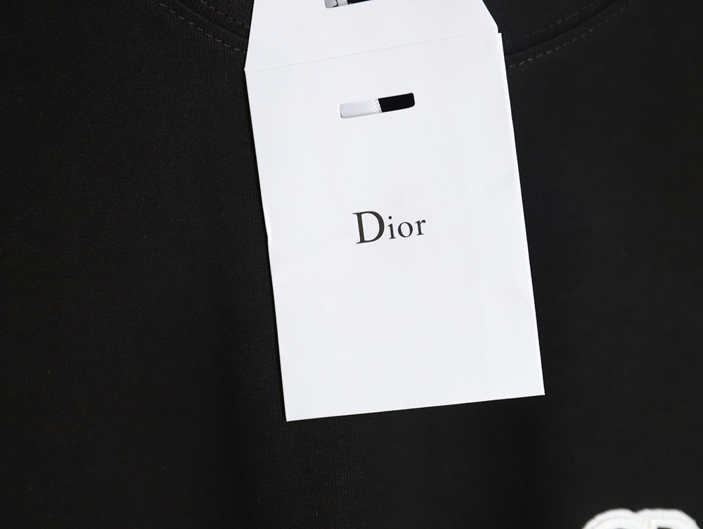 Dior chest logo embroidered lettering short sleeve T-shirt TSK1