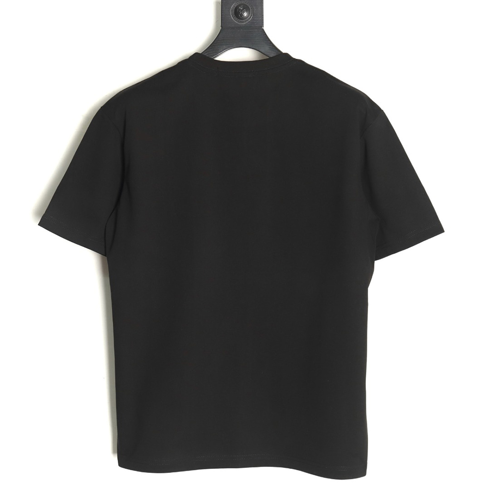Dior chest logo embroidered lettering short sleeve T-shirt TSK1