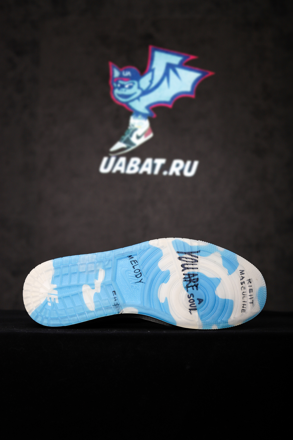 MELODY EHSANI X AIR JORDAN 1 MID 