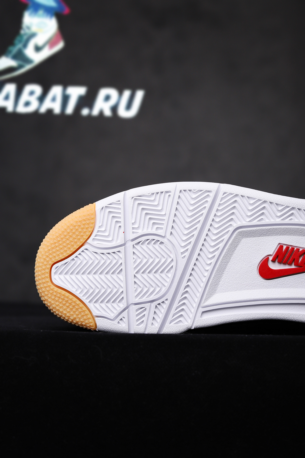 Nike SB x Air Jordan 4 