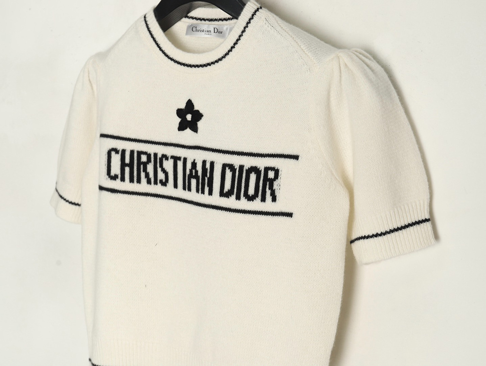 Dior letter knitted sweater short sleeves TSK1