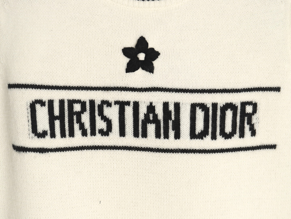 Dior letter knitted sweater short sleeves TSK1