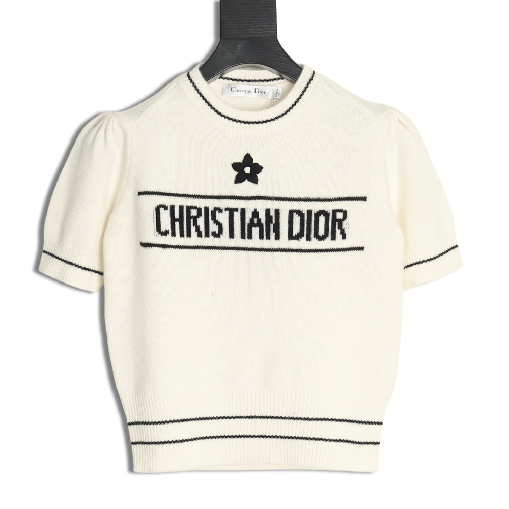 Dior letter knitted sweater short sleeves TSK1