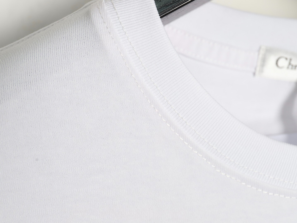 Dior Year of the Snake Limited Edition Embroidered Short Sleeve